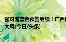 强对流蓝色预警继续！广西广东等地局部将有10级以上雷暴大风(今日/头条)