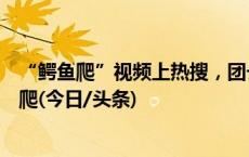 “鳄鱼爬”视频上热搜，团长回应：不像网友想的那样一直爬(今日/头条)