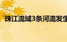 珠江流域3条河流发生超警洪水(今日/头条)