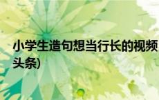 小学生造句想当行长的视频，当地农发行的回应来了(今日/头条)