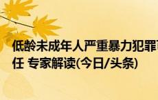 低龄未成年人严重暴力犯罪可通过核准追诉依法追究刑事责任 专家解读(今日/头条)