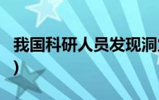 我国科研人员发现洞穴鱼类新物种(今日/头条)