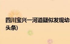 四川宝兴一河道疑似发现幼年大熊猫尸体，当地回应(今日/头条)