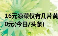 16元凉菜仅有几片黄瓜，宁夏一饭店被罚5000元(今日/头条)