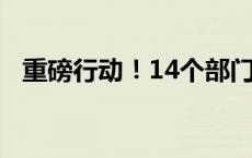 重磅行动！14个部门盖章通知(今日/头条)