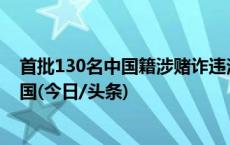 首批130名中国籍涉赌诈违法犯罪嫌疑人从柬埔寨被押解回国(今日/头条)