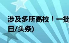 涉及多所高校！一批学术不端案件被通报(今日/头条)