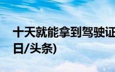 十天就能拿到驾驶证？小心掉进诈骗陷阱(今日/头条)