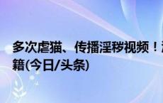 多次虐猫、传播淫秽视频！江西师范大学虐猫学生被开除学籍(今日/头条)