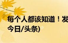 每个人都该知道！发现间谍行为拨打12339(今日/头条)