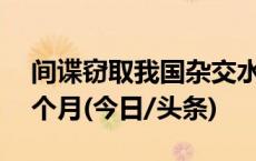 间谍窃取我国杂交水稻亲本种子，判刑1年6个月(今日/头条)