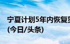 宁夏计划5年内恢复贺兰山雪豹最低种群数量(今日/头条)