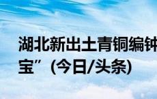 湖北新出土青铜编钟等礼器 墓主人为“曾侯宝”(今日/头条)