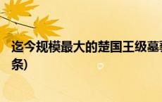 迄今规模最大的楚国王级墓葬 武王墩墓文物上新→(今日/头条)