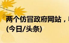 两个仿冒政府网站，收录5051本“山寨证书”(今日/头条)