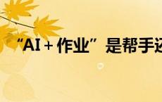 “AI＋作业”是帮手还是枪手？(今日/头条)