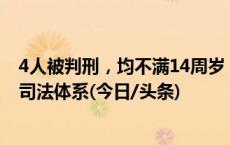 4人被判刑，均不满14周岁！最高法：推动建立独立的少年司法体系(今日/头条)