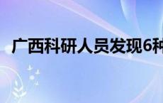 广西科研人员发现6种植物新种(今日/头条)