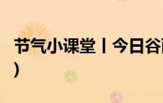 节气小课堂丨今日谷雨，万物生长(今日/头条)