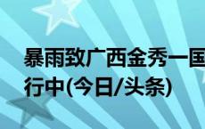 暴雨致广西金秀一国道发生塌方 封闭抢修进行中(今日/头条)