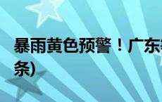 暴雨黄色预警！广东等地有大到暴雨(今日/头条)