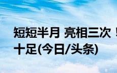 短短半月 亮相三次！大熊猫频“刷脸”萌态十足(今日/头条)