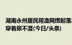 湖南永州居民用渔网捞起落水孩童，目击者：孩子昏迷，还穿着尿不湿(今日/头条)