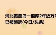 河北秦皇岛一粮库2年近万吨玉米“不翼而飞”，涉案人员已被起诉(今日/头条)