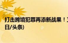 打击跨境犯罪再添新战果！又有250名电诈嫌犯移交我方(今日/头条)