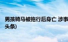 男孩骑马被拖行后身亡 涉事马主被采取刑事强制措施(今日/头条)