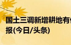 国土三调新增耕地有偿使用？内蒙古开鲁再通报(今日/头条)