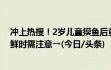 冲上热搜！2岁儿童摸鱼后竟要被截肢？医生提醒：接触海鲜时需注意→(今日/头条)