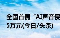 全国首例“AI声音侵权案”宣判，原告获赔25万元(今日/头条)