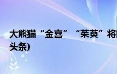 大熊猫“金喜”“茱萸”将前往西班牙马德里动物园(今日/头条)