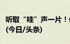 听取“哇”声一片！他把物理课上成了魔法课(今日/头条)