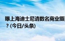 曝上海迪士尼请数名商业摄影师离园，商业摄影会被禁止吗？(今日/头条)