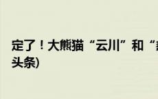 定了！大熊猫“云川”和“鑫宝”将赴美，期限10年(今日/头条)