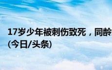 17岁少年被刺伤致死，同龄嫌疑人投案自首，重庆警方通报(今日/头条)