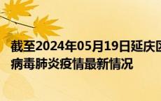 截至2024年05月19日延庆区疫情最新消息-延庆区新型冠状病毒肺炎疫情最新情况