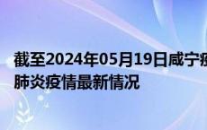 截至2024年05月19日咸宁疫情最新消息-咸宁新型冠状病毒肺炎疫情最新情况