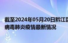 截至2024年05月20日黔江区疫情最新消息-黔江区新型冠状病毒肺炎疫情最新情况