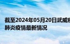 截至2024年05月20日武威疫情最新消息-武威新型冠状病毒肺炎疫情最新情况