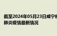 截至2024年05月23日咸宁疫情最新消息-咸宁新型冠状病毒肺炎疫情最新情况