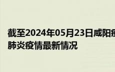 截至2024年05月23日咸阳疫情最新消息-咸阳新型冠状病毒肺炎疫情最新情况