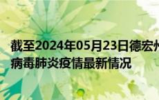 截至2024年05月23日德宏州疫情最新消息-德宏州新型冠状病毒肺炎疫情最新情况