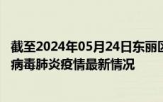 截至2024年05月24日东丽区疫情最新消息-东丽区新型冠状病毒肺炎疫情最新情况