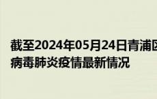 截至2024年05月24日青浦区疫情最新消息-青浦区新型冠状病毒肺炎疫情最新情况