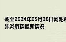 截至2024年05月28日河池疫情最新消息-河池新型冠状病毒肺炎疫情最新情况