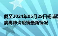 截至2024年05月29日杨浦区疫情最新消息-杨浦区新型冠状病毒肺炎疫情最新情况