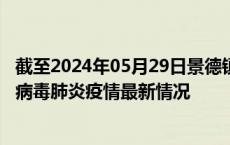 截至2024年05月29日景德镇疫情最新消息-景德镇新型冠状病毒肺炎疫情最新情况